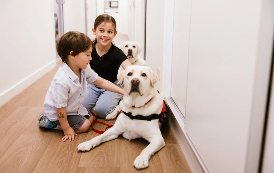Australia’s First Certified Dental Therapy Dog Near Warragul, Gippsland In Warragul Dental Care