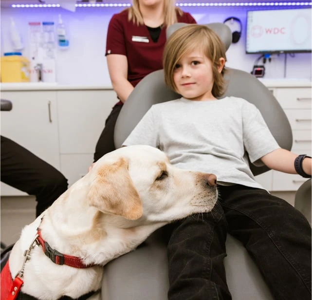 Bruce's Training And Hobbies In Warragul, Gippsland At Warragul Dental Care