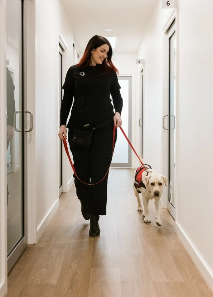 Meet Dogtor Bruce, Australia’s First Certified Dental Therapy Dog Near Warragul, Gippsland In Warragul Dental Care