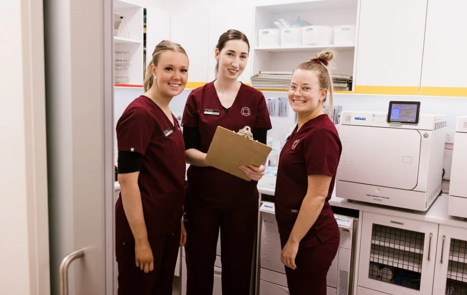 Same Day Crowns to Save You Time Near Warragul, Gippsland In Warragul Dental Care