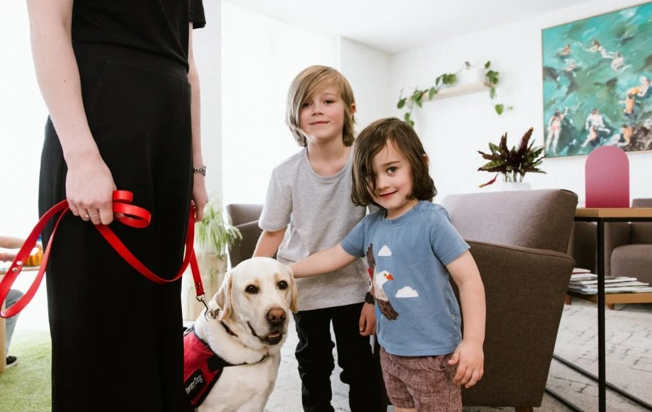 What Happens At Your Child’s First Dental Appointment Near At Warragul, Gippsland In Warragul Dental Care