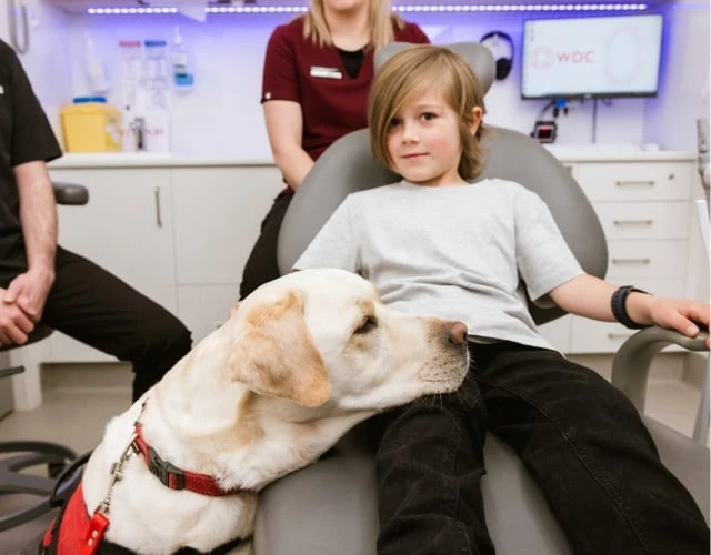 Your Child's First Dentist Visit Is Free In Warragul, Gippsland At Warragul Dental Care